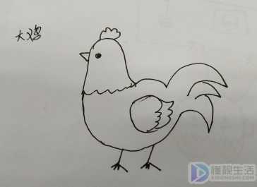 怎么画公鸡的简笔画吗