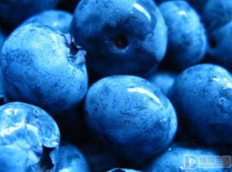 蓝色的食物有哪些五大健康水果之一