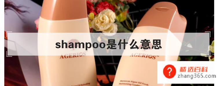 shampoo是什么意思
